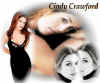 Cindycrawford2.jpg (60383 bytes)